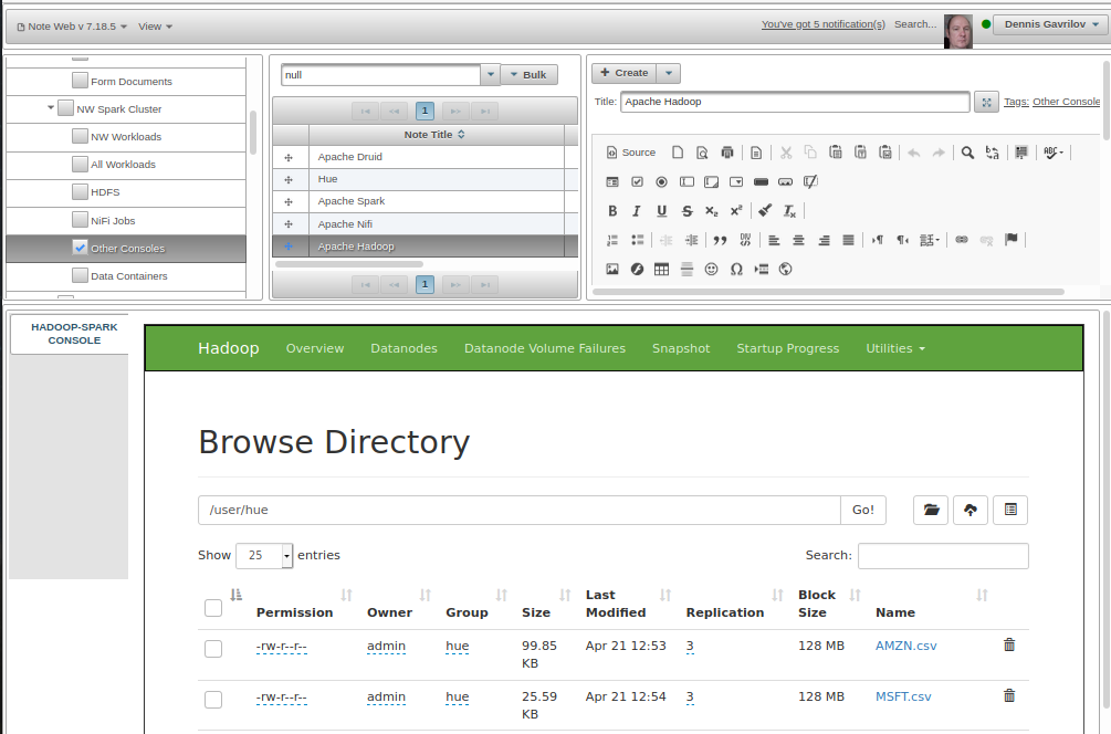 NW Hadoop Console